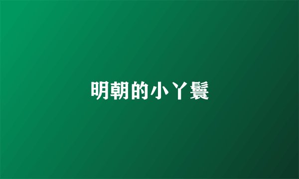 明朝的小丫鬟