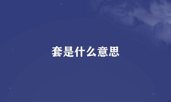 套是什么意思