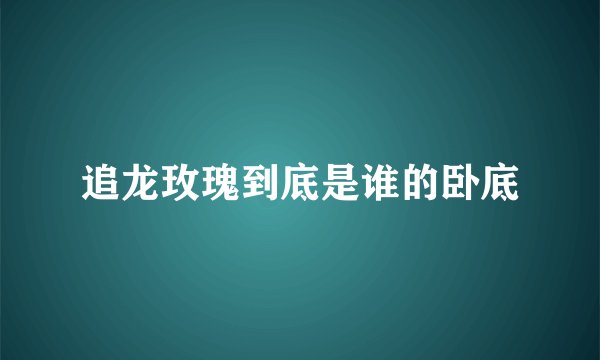 追龙玫瑰到底是谁的卧底