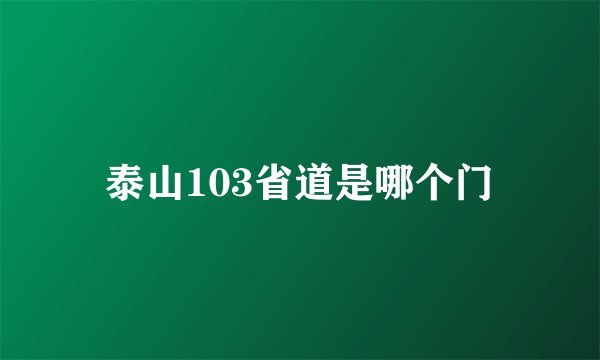 泰山103省道是哪个门