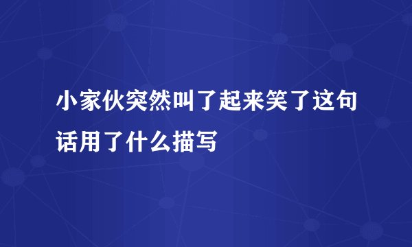 小家伙突然叫了起来笑了这句话用了什么描写