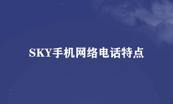 SKY手机网络电话特点