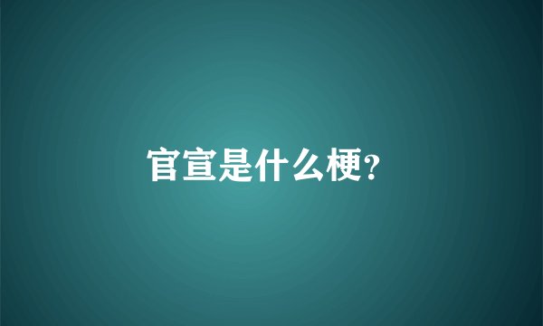 官宣是什么梗？