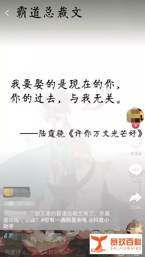 抖音、爱奇艺都有的小说分销网赚项目，到底应该如何做？
