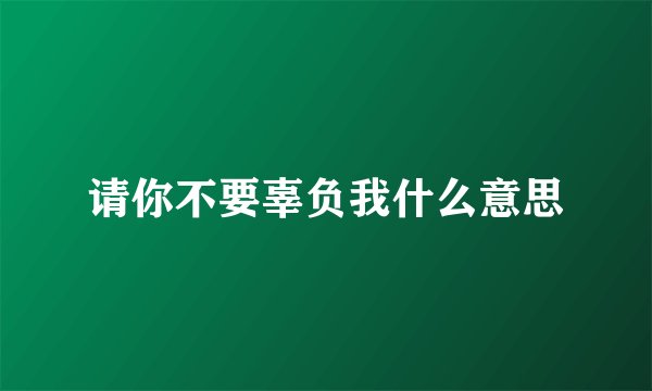 请你不要辜负我什么意思