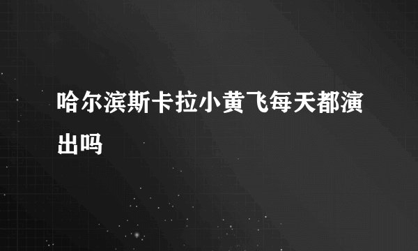 哈尔滨斯卡拉小黄飞每天都演出吗