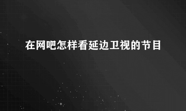 在网吧怎样看延边卫视的节目