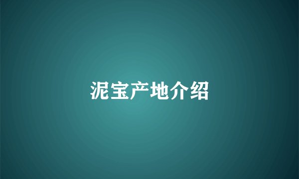 泥宝产地介绍