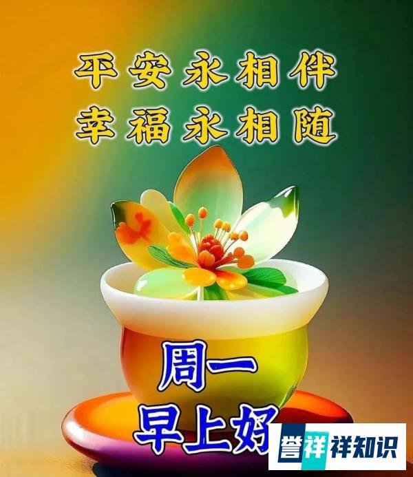 早上好祝福创意表情包图片带字带问候语，今日最新早上好问候语精