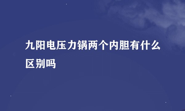 九阳电压力锅两个内胆有什么区别吗
