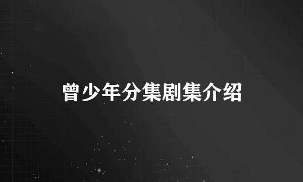 曾少年分集剧集介绍
