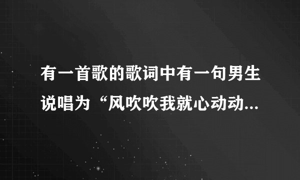 有一首歌的歌词中有一句男生说唱为“风吹吹我就心动动”，求歌名！！