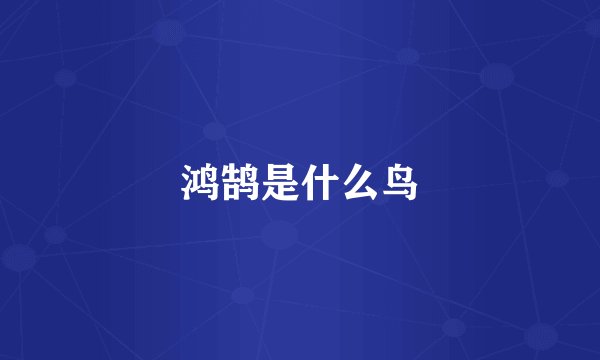 鸿鹄是什么鸟