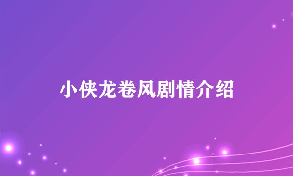 小侠龙卷风剧情介绍