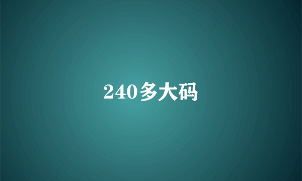 240多大码