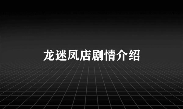 龙迷凤店剧情介绍
