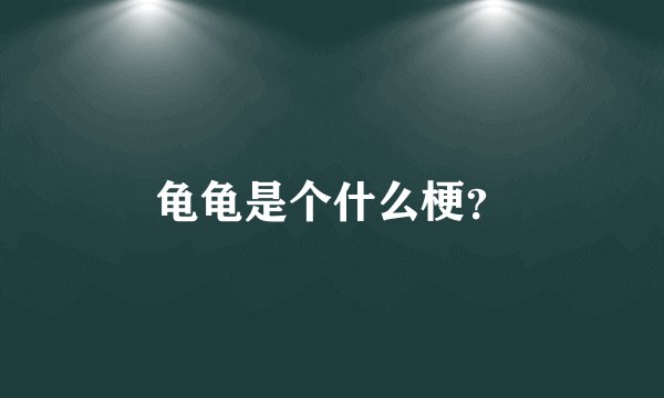 龟龟是个什么梗？