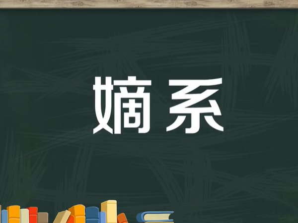 嫡系是什么意思