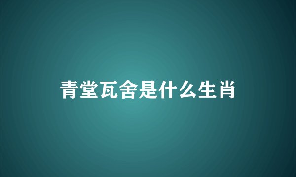 青堂瓦舍是什么生肖