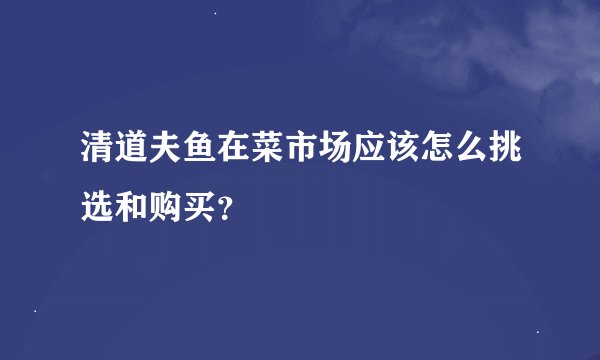清道夫鱼在菜市场应该怎么挑选和购买？