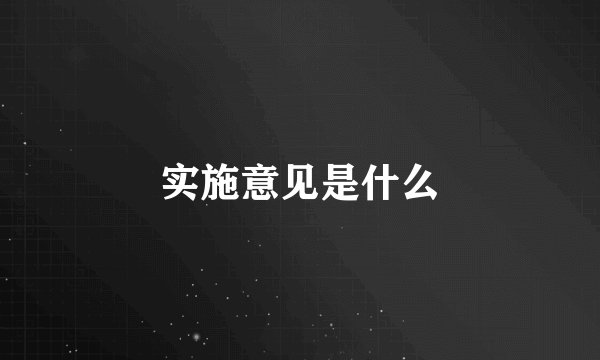 实施意见是什么