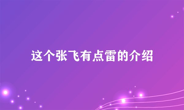 这个张飞有点雷的介绍