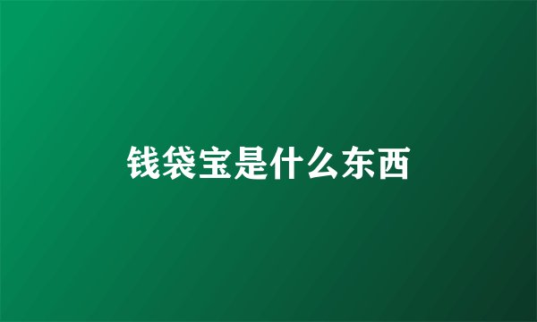 钱袋宝是什么东西