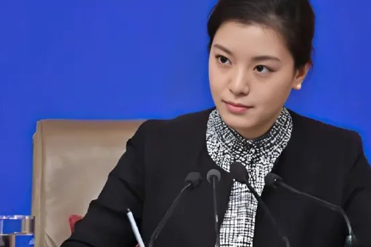 张京出什么事