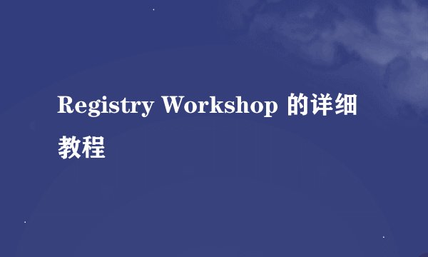 Registry Workshop 的详细教程