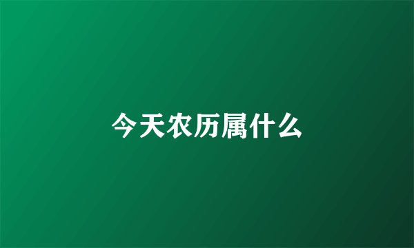 今天农历属什么