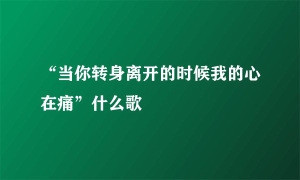“当你转身离开的时候我的心在痛”什么歌