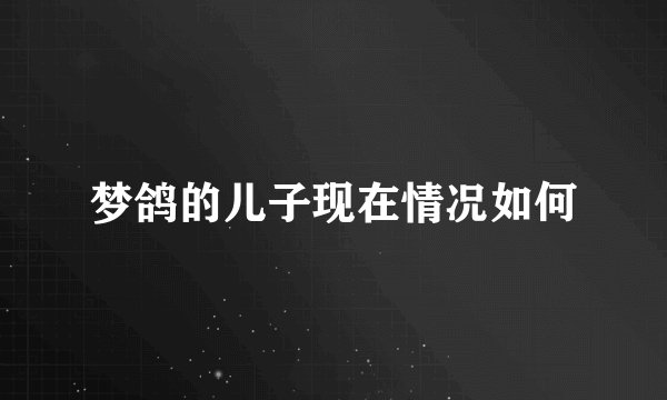 梦鸽的儿子现在情况如何