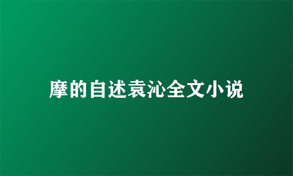 摩的自述袁沁全文小说
