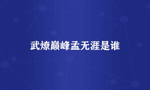 武燎巅峰孟无涯是谁