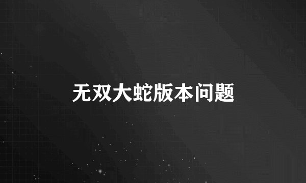 无双大蛇版本问题