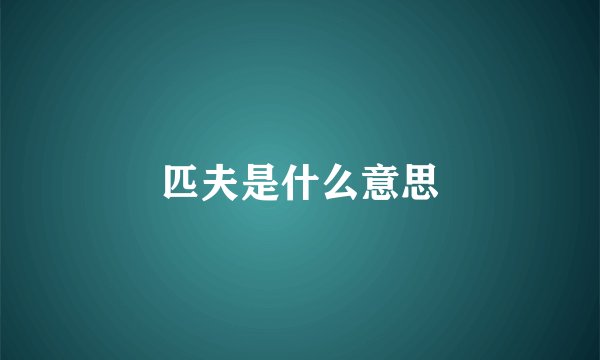 匹夫是什么意思