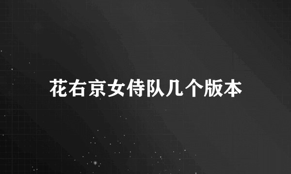 花右京女侍队几个版本
