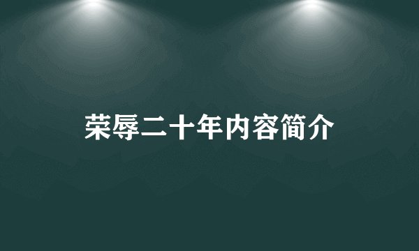 荣辱二十年内容简介