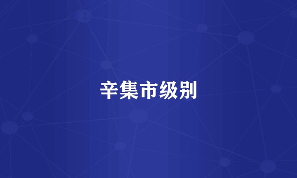 辛集市级别