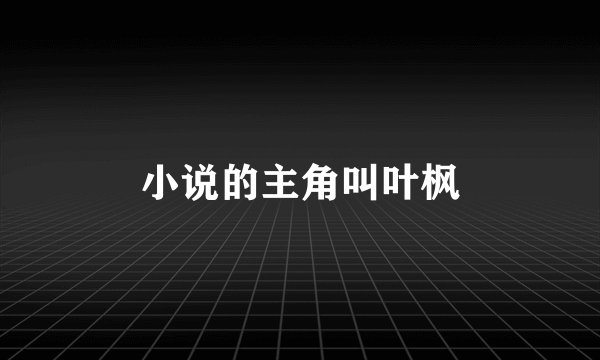 小说的主角叫叶枫