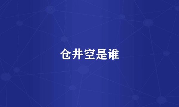 仓井空是谁