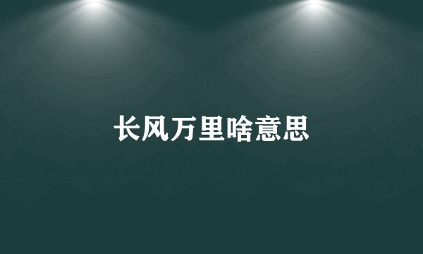 长风万里啥意思