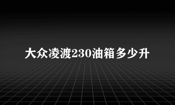 大众凌渡230油箱多少升