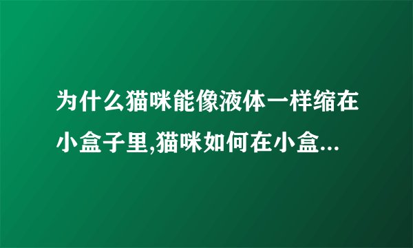 为什么猫咪能像液体一样缩在小盒子里,猫咪如何在小盒子里蜷缩成液体状态？