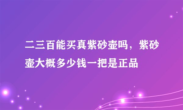二三百能买真紫砂壶吗，紫砂壶大概多少钱一把是正品