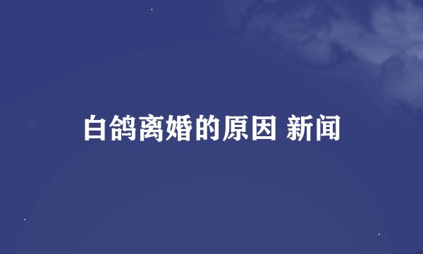 白鸽离婚的原因 新闻