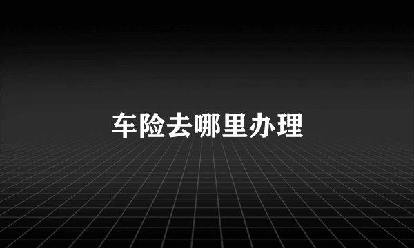 车险去哪里办理