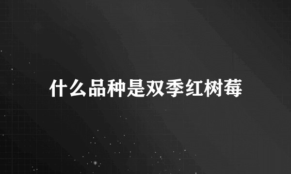 什么品种是双季红树莓