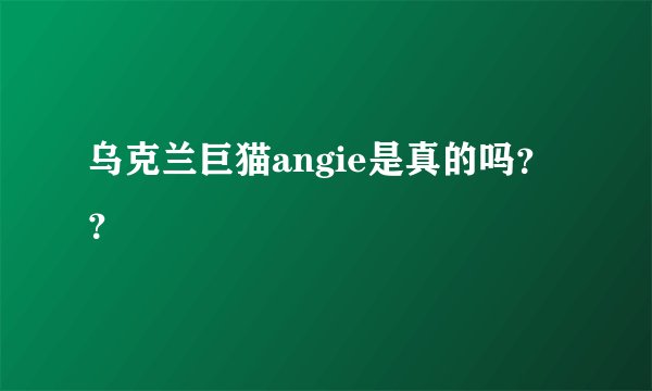 乌克兰巨猫angie是真的吗？？