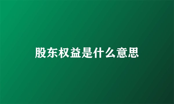 股东权益是什么意思